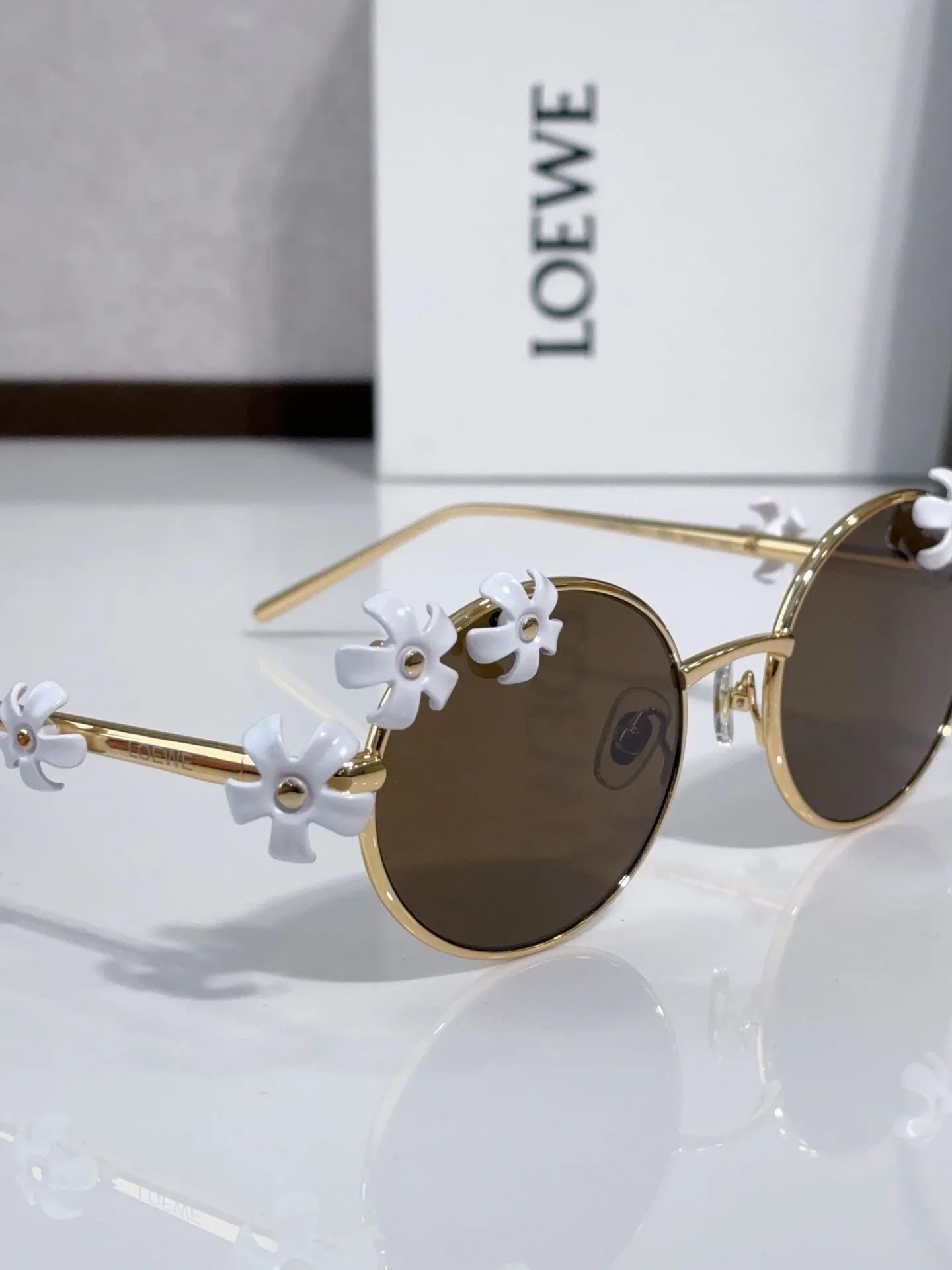 Очки Loewe 637401