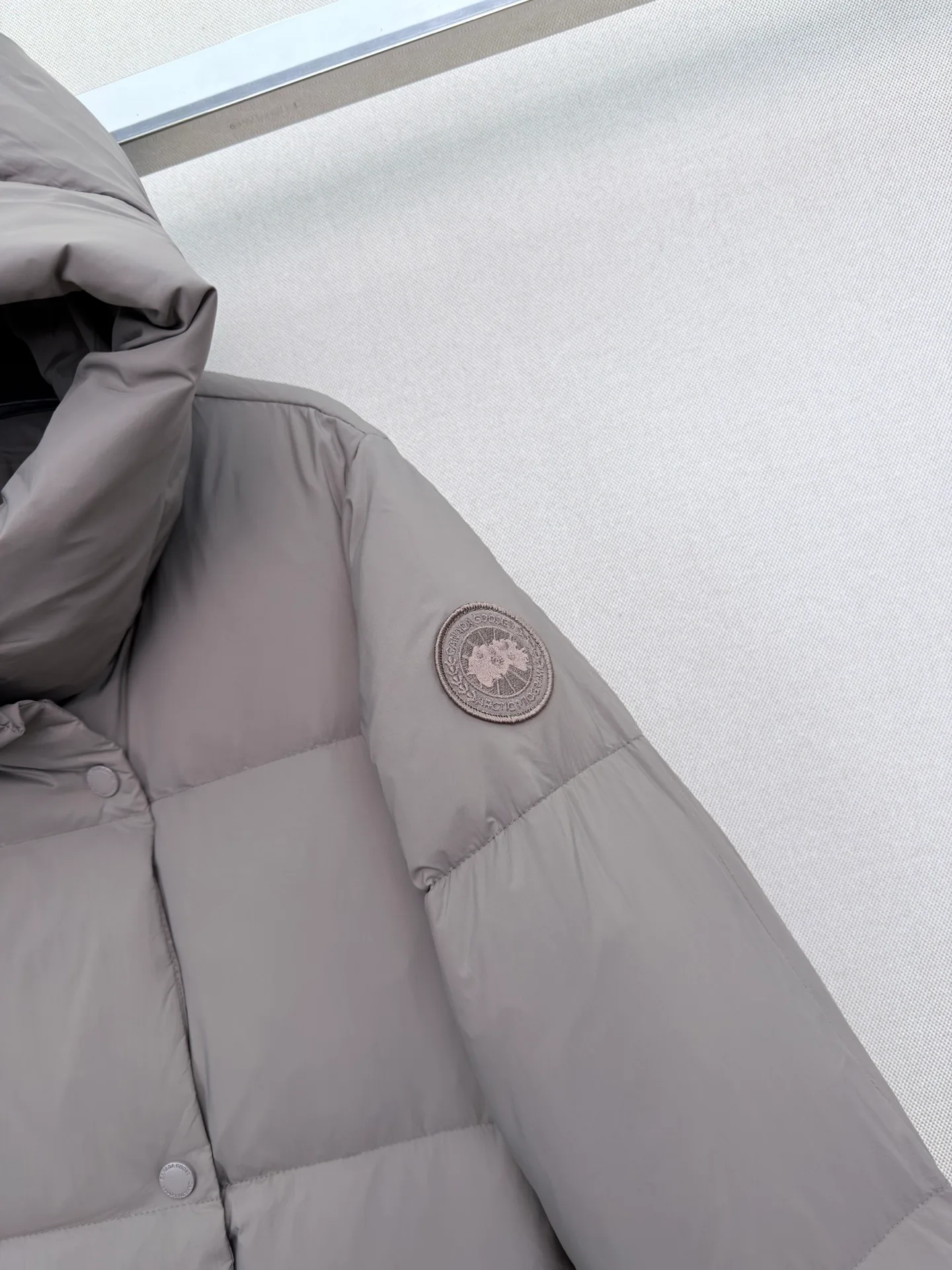 Куртки И Пуховики Женские Canada Goose 18056332