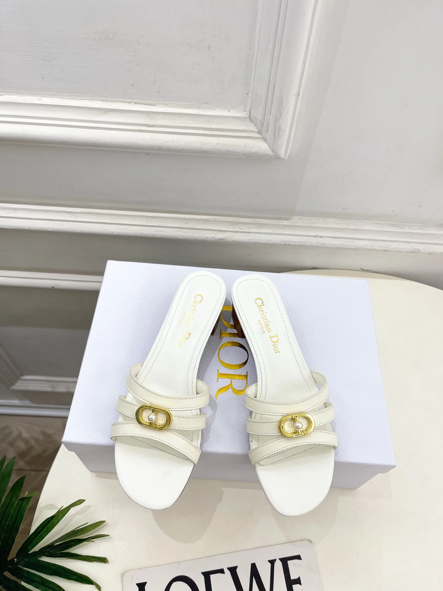 Туфли Женские Christian Dior 12601456