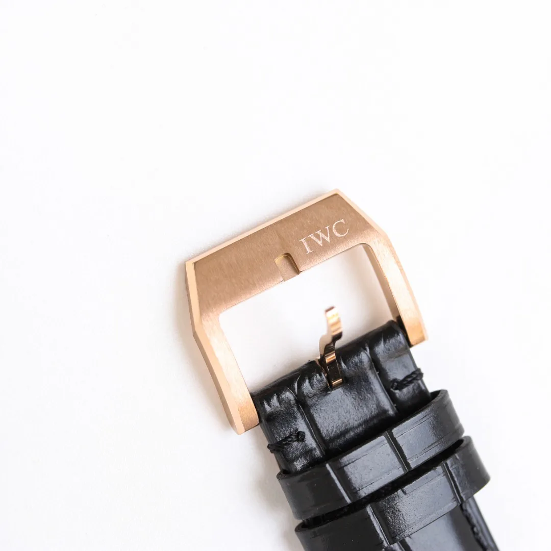 Часы Мужские Iwc 691893