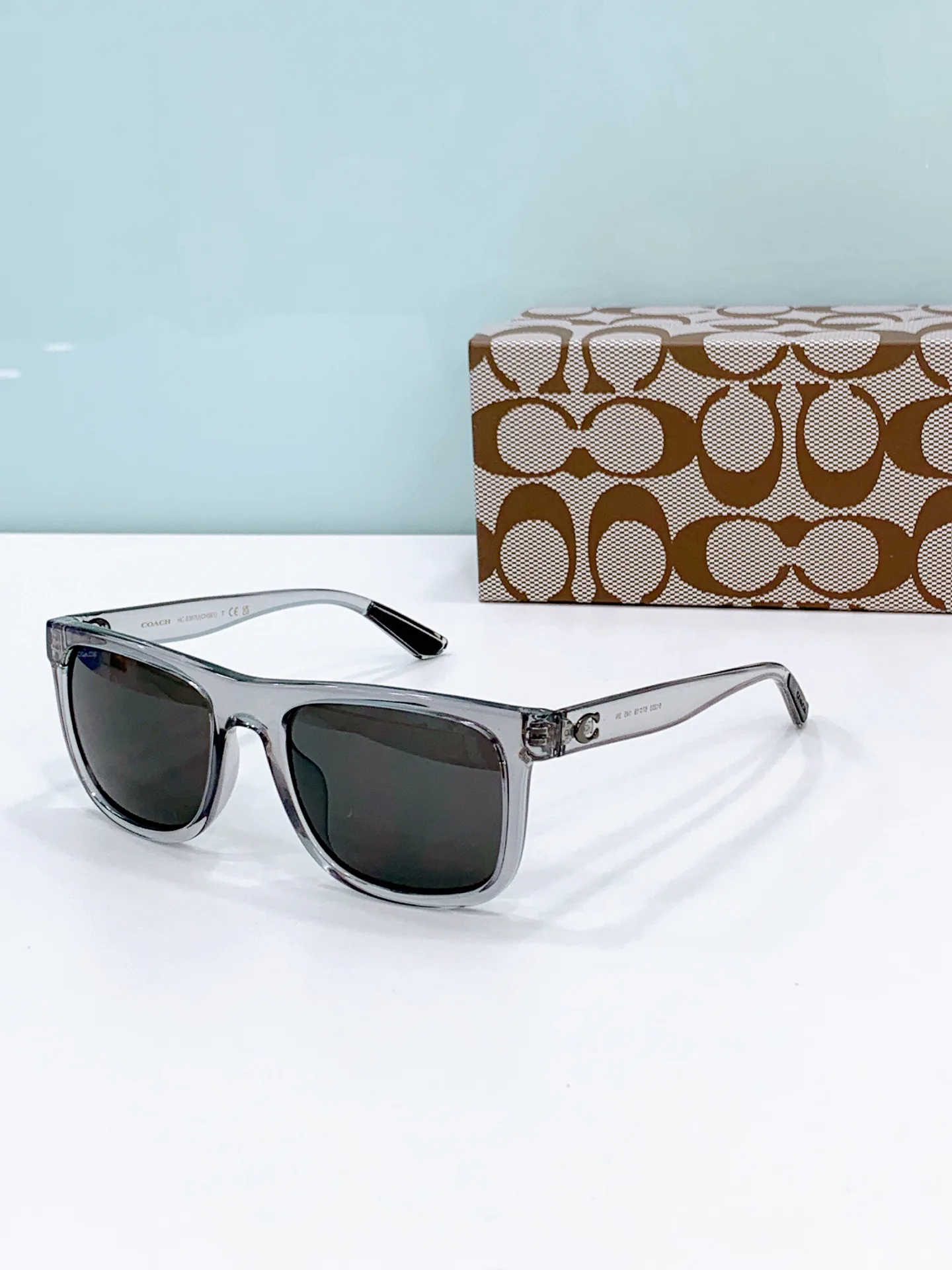 Очки Coach 231863