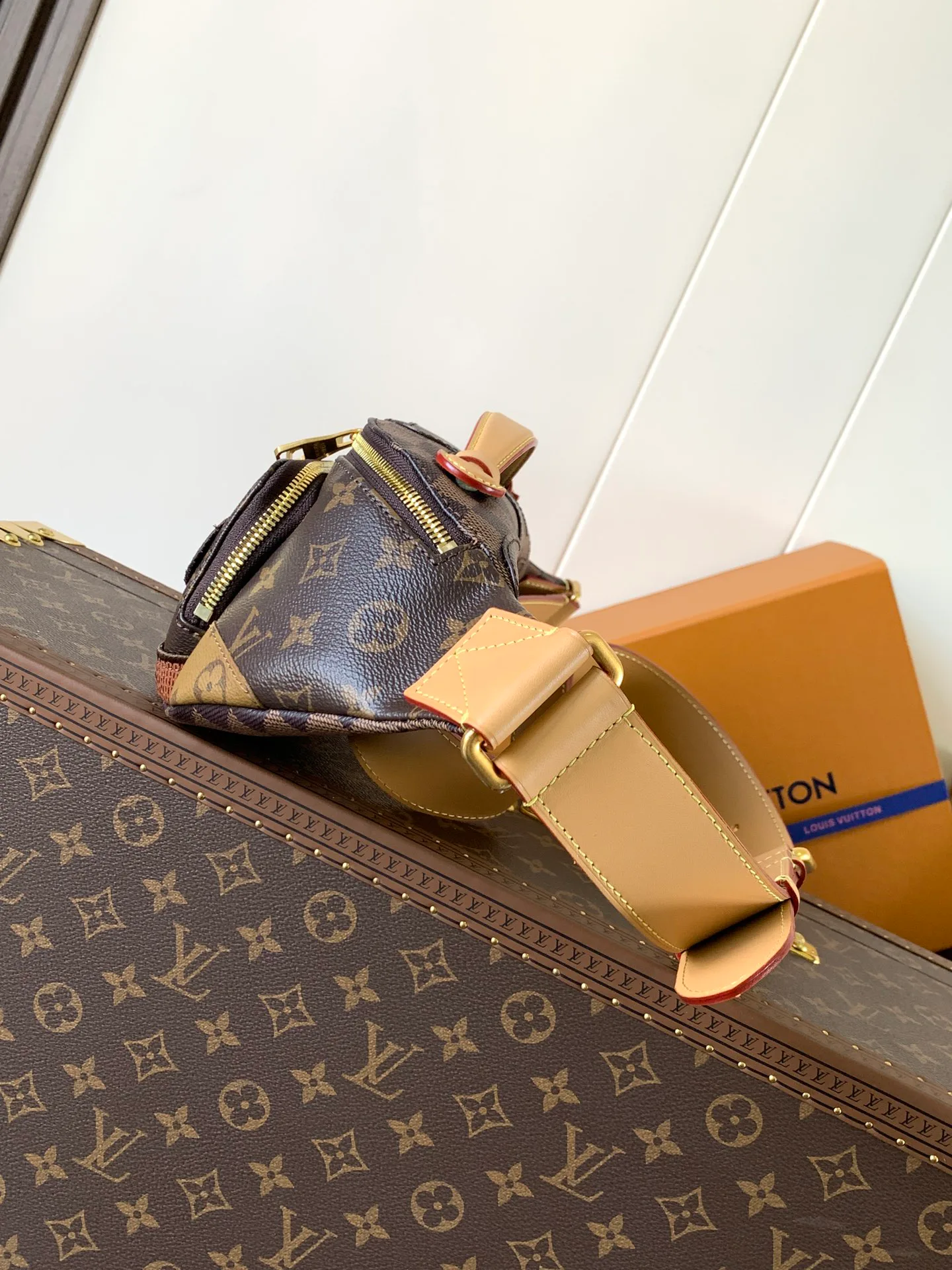 Поясные Сумки Женские Louis Vuitton 369600