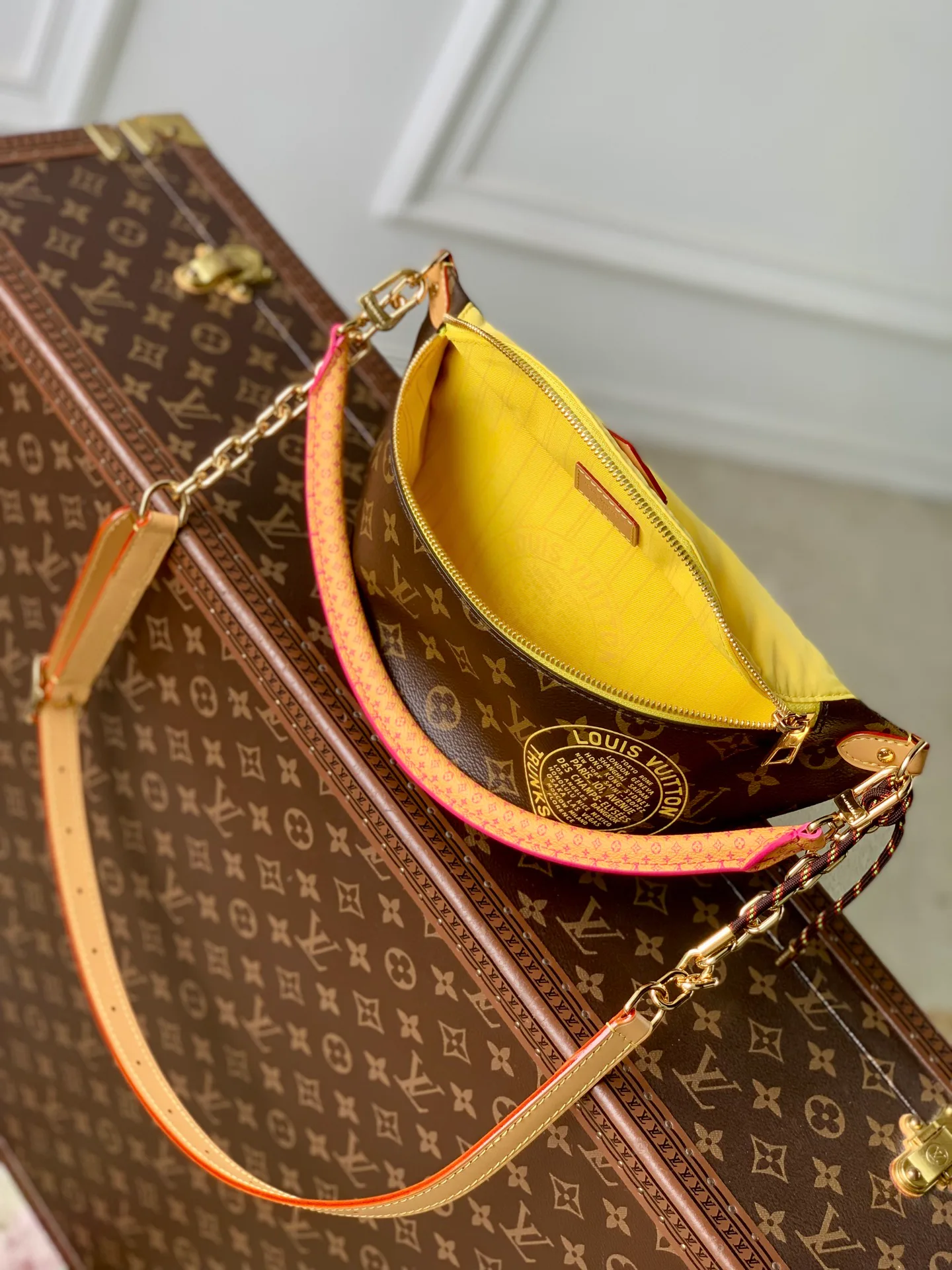 Поясные Сумки Женские Louis Vuitton 13833563