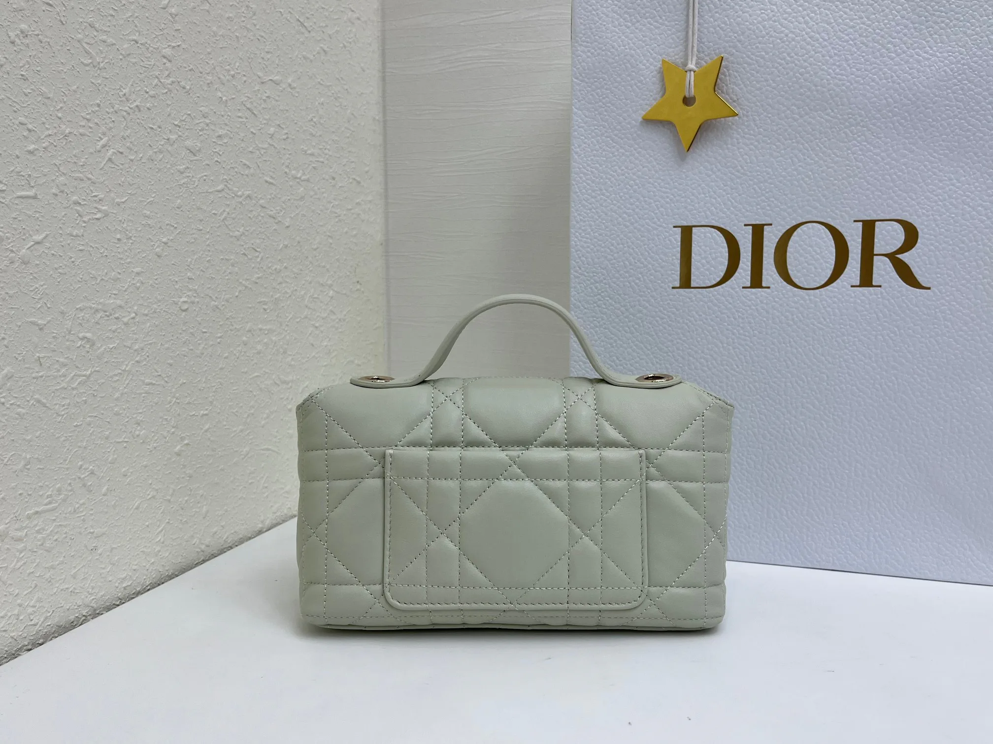 Классические Сумки Женские Christian Dior 17463906