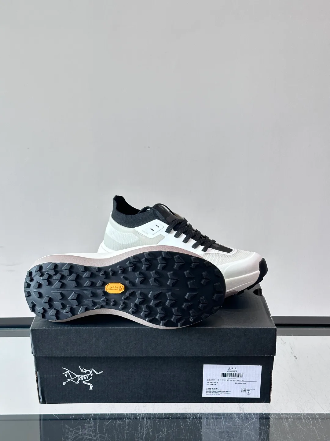 Кроссовки Мужские Arcteryx 17542411