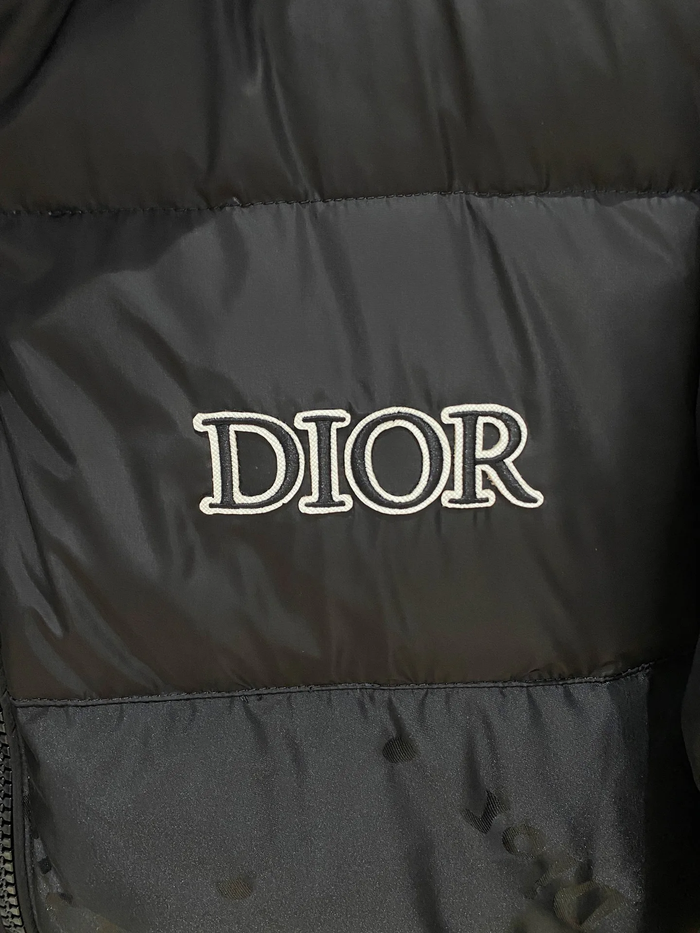 Куртки И Пуховики Мужские Christian Dior 789126