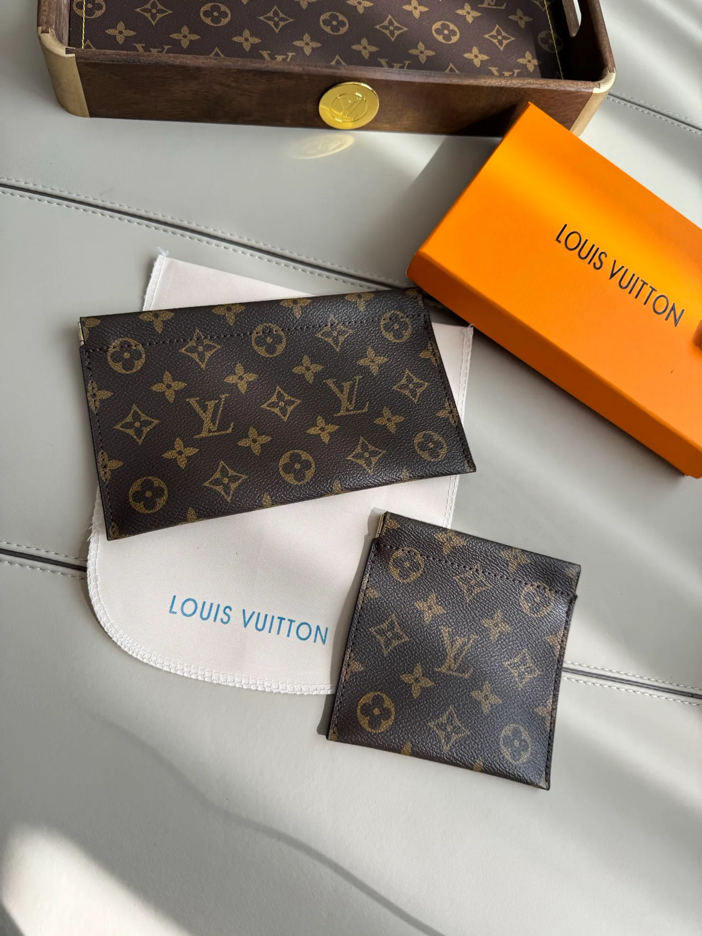 Клатчи Женские Louis Vuitton 18429620