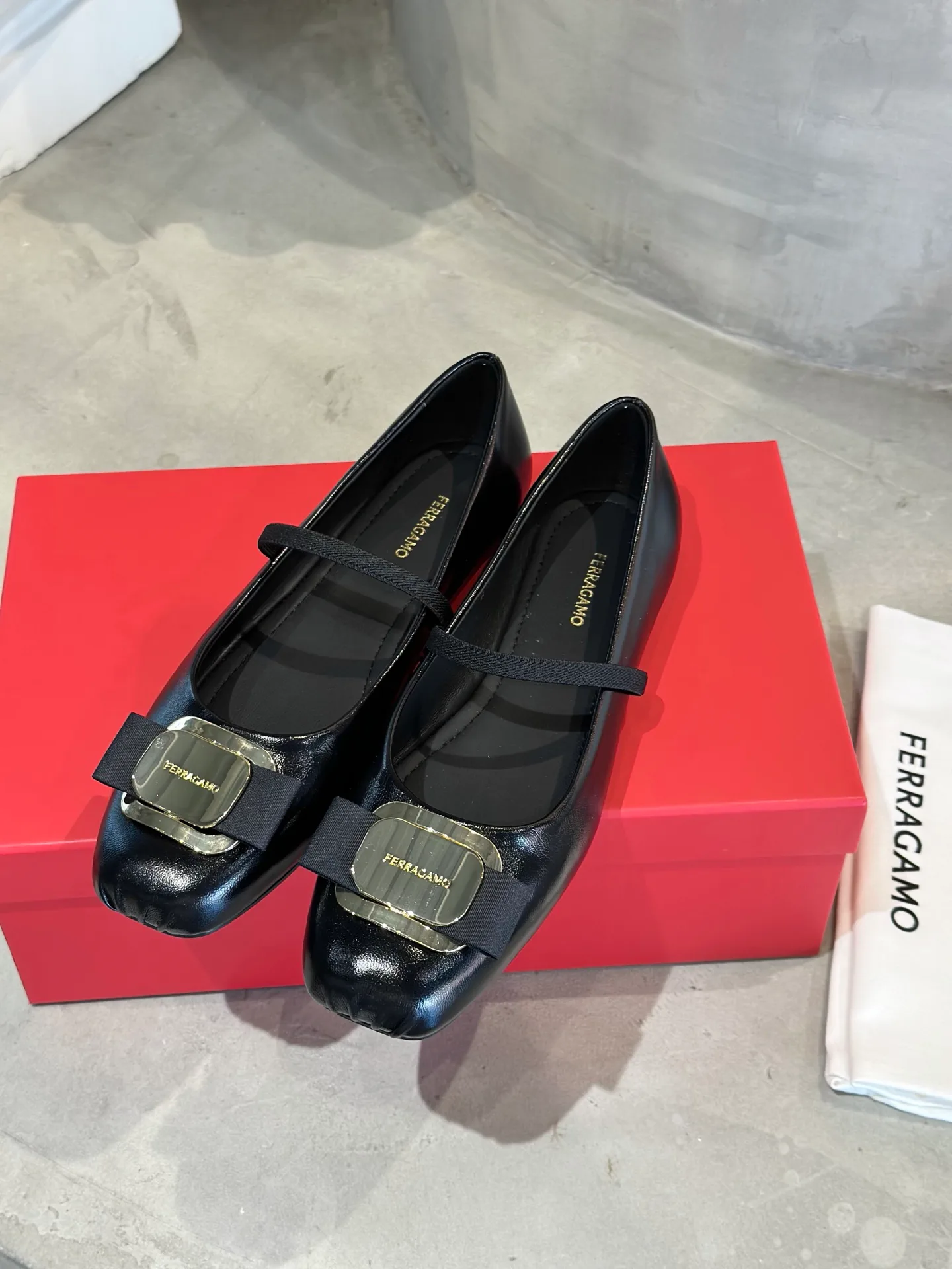 Балетки Женские Salvatore Ferragamo 16891076