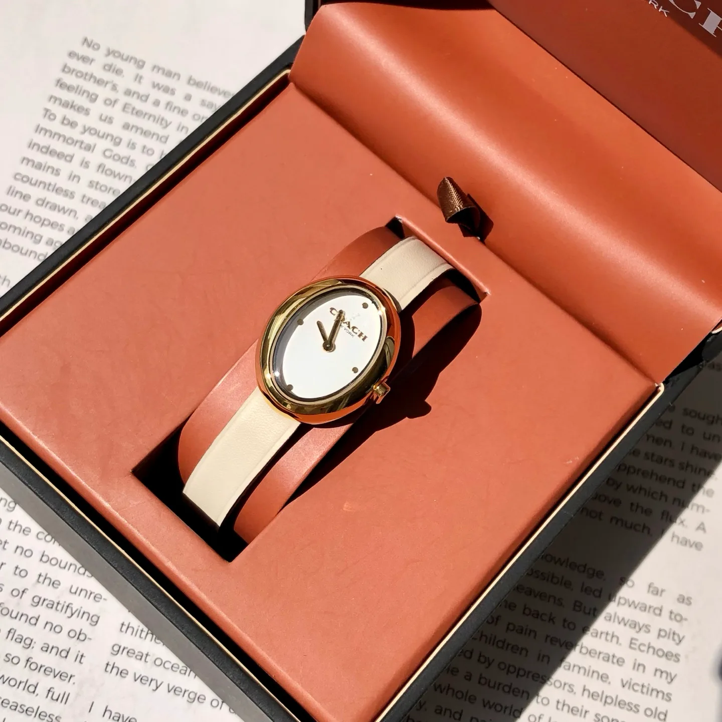 Часы Женские Coach 449050