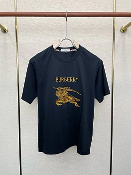 Футболки Мужские Burberry 12876771