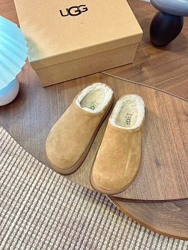 Тапочки Женские Ugg 1253864
