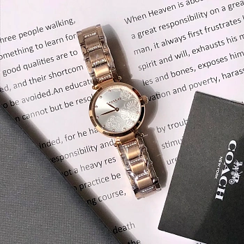 Часы Женские Coach 11603759