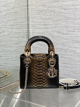 Классические Сумки Женские Christian Dior 11581730