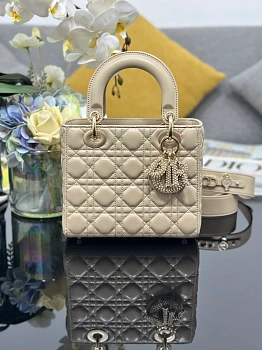 Классические Сумки Женские Christian Dior 11412573