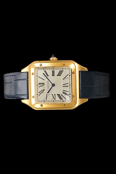 Часы Мужские Cartier 88445