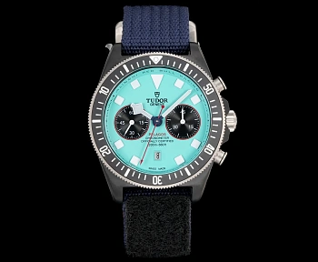 Часы Мужские Tudor 13552246