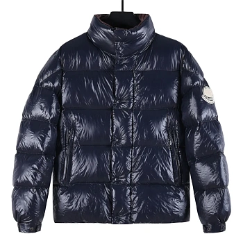 Куртки И Пуховики Мужские Moncler 745300
