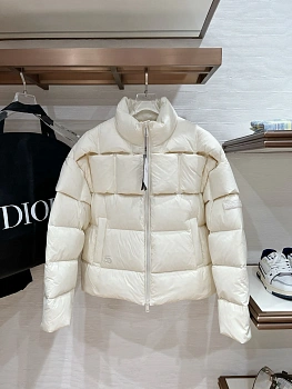 Куртки И Пуховики Мужские Christian Dior 938688