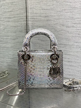 Классические Сумки Женские Christian Dior 11581752