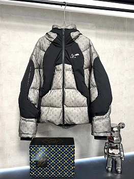 Куртки И Пуховики Мужские Louis Vuitton 493301