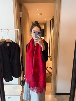 Шарфы Louis Vuitton 4486