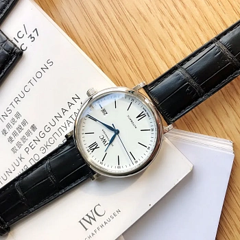 Часы Мужские Iwc 187130