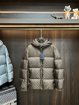 Куртки Мужские Louis Vuitton 383998