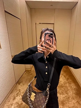 Классические Сумки Женские Louis Vuitton 11564855