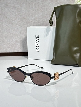Очки Loewe 481423