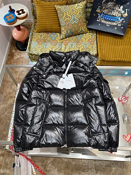 Куртки И Пуховики Мужские Moncler 608670