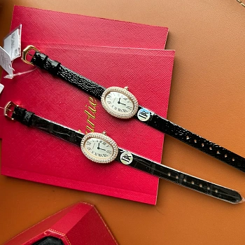 Часы Женские Cartier 262658