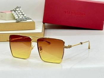 Очки Valentino 4976