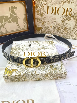 Ремни Christian Dior 10010346