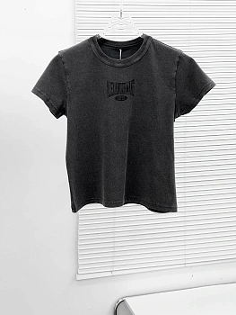 Футболки Женские Alexander Wang 22679