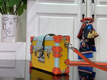 Сумки На Ремне Женские Louis Vuitton 50293