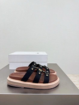 Шлепанцы Женские Celine 5084460