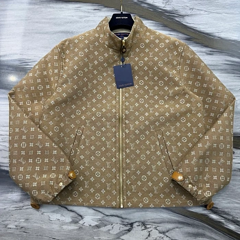 Куртки И Пуховики Мужские Louis Vuitton 441606