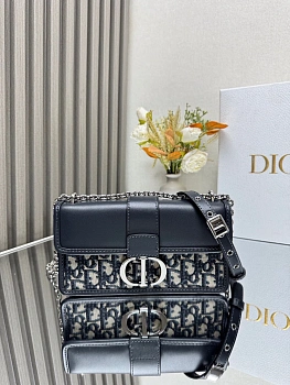 Сумки На Ремне Женские Christian Dior 110285