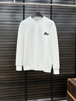 Свитшоты И Худи Мужские Christian Dior 492927