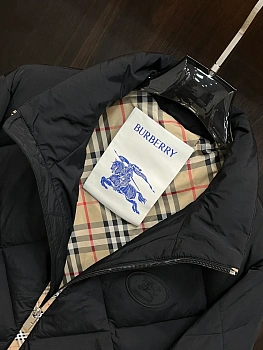 Куртки И Пуховики Мужские Burberry 1392927