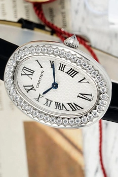 Часы Женские Cartier 1971992