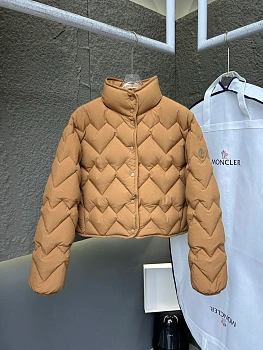 Куртки И Пуховики Женские Moncler 497159