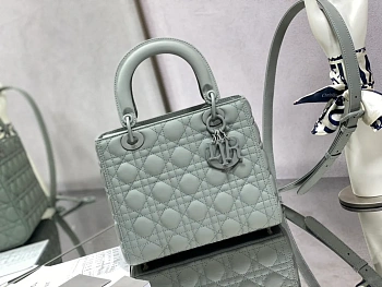 Сумки На Ремне Женские Christian Dior 90293