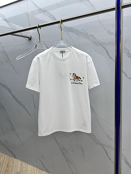 Футболки Мужские Christian Dior 1012212