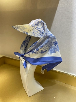 Головные Уборы Christian Dior 6874471