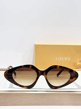 Очки Женские Loewe 6253694