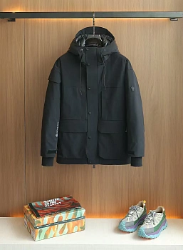 Куртки И Пуховики Мужские Moncler 384009
