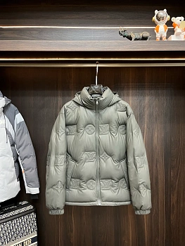 Куртки И Пуховики Мужские Louis Vuitton 381765