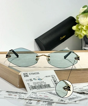 Очки Cartier 5033487