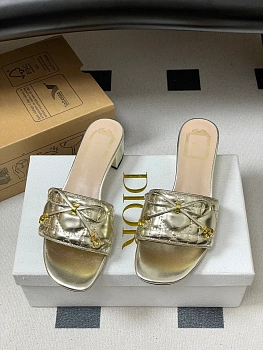 Босоножки Женские Christian Dior 11682219